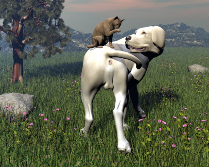 Do dogs and cats contribute to climate change? Man's best friends can harm the environment.
